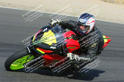 media/Feb-04-2023-SoCal Trackdays (Sat) [[8a776bf2c3]]/Turn 6 Inside (1025am)/